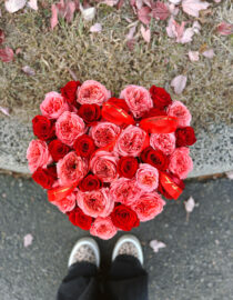 Heart-shaped box filled with vibrant garden hot pink and red roses, beautifully arranged for a romantic gift.