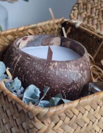 Handmade soy wax candle in coconut shell bowl with natural oils" "Eco-friendly coconut shell candle with soy wax and essential oils" "Coconut shell bowl candle with natural essential oils, handmade" "Unique desert-inspired soy wax candle in coconut shell bowl"