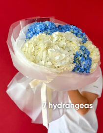 Colombian Blue and White Hydrangeas – Fresh and Elegant Floral Bouquet