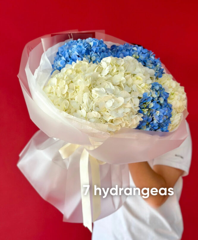 Colombian Blue and White Hydrangeas – Fresh and Elegant Floral Bouquet