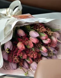 A beautifully wrapped bouquet featuring pastel pink and lavender tulips paired with deep red hyacinths, adorned with delicate water droplets for a fresh and elegant look.